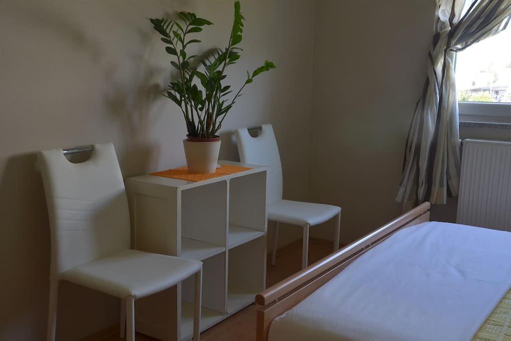 Apartman Ana Pula - Calm, Free Parking, Close To Center Esterno foto